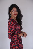 Chandini Chowdary at Sammathame Success Meet
